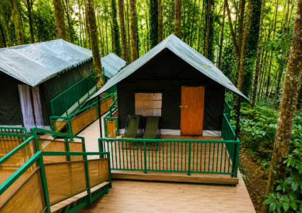 safari tents