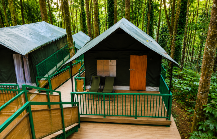 safari tents